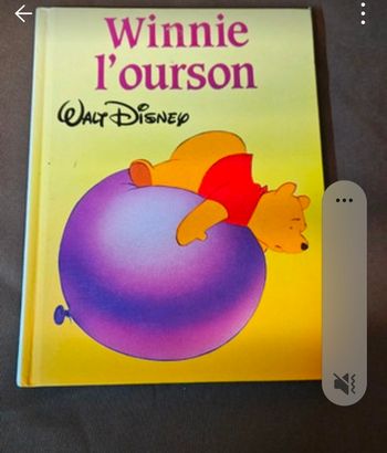 Livre Winnie l'ourson