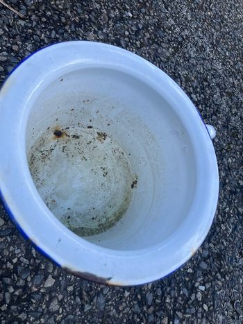 Ancien pot de chambre émaillé