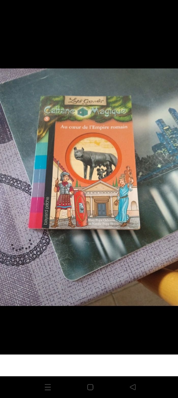 Les carnets de la cabane magique 8