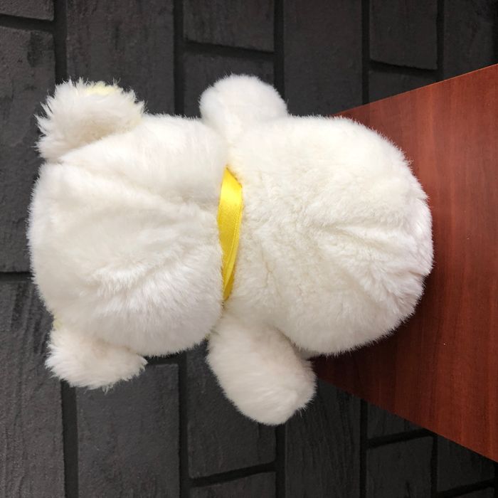 ours blanc - photo numéro 5