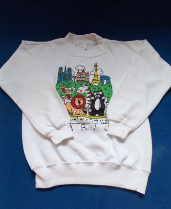 Pull fille taille 12