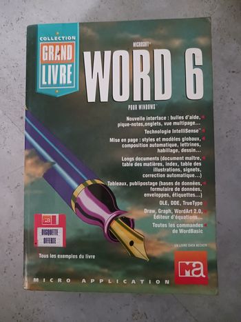 livre Word 6 Micro application avec disquette