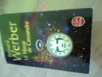 Le miroir de Cassandre