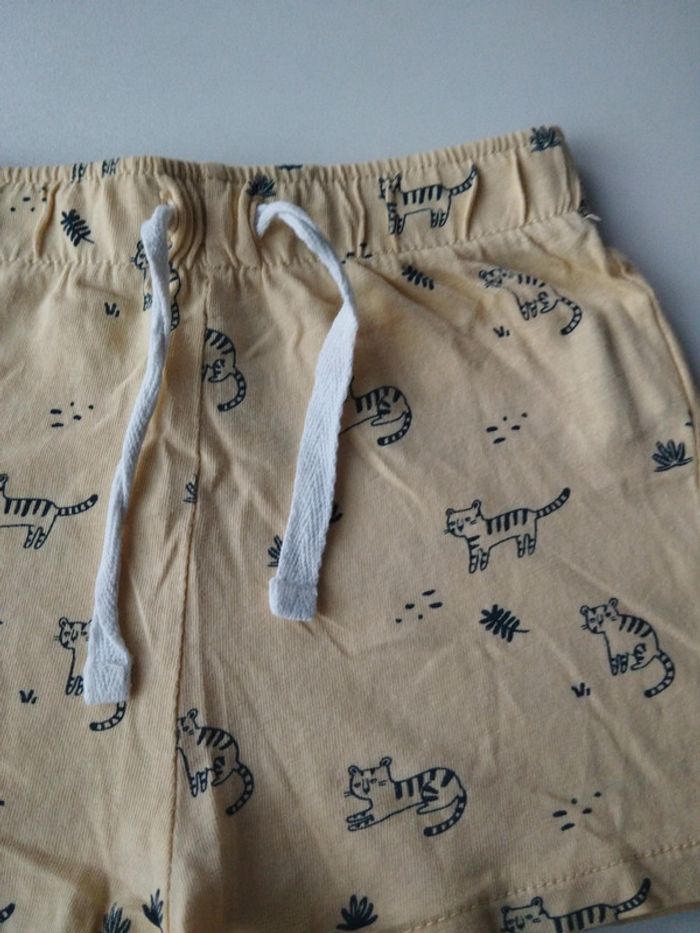 Shorts - photo numéro 2