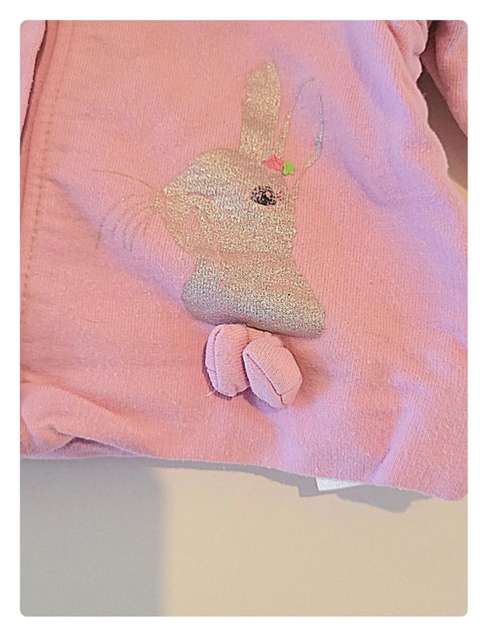 Gilet rose orchestra avec un lapin taille 1 mois - photo numéro 3