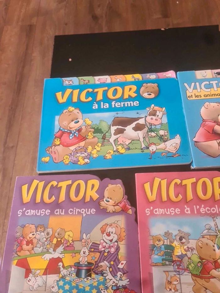 Lot livre victor - photo numéro 2