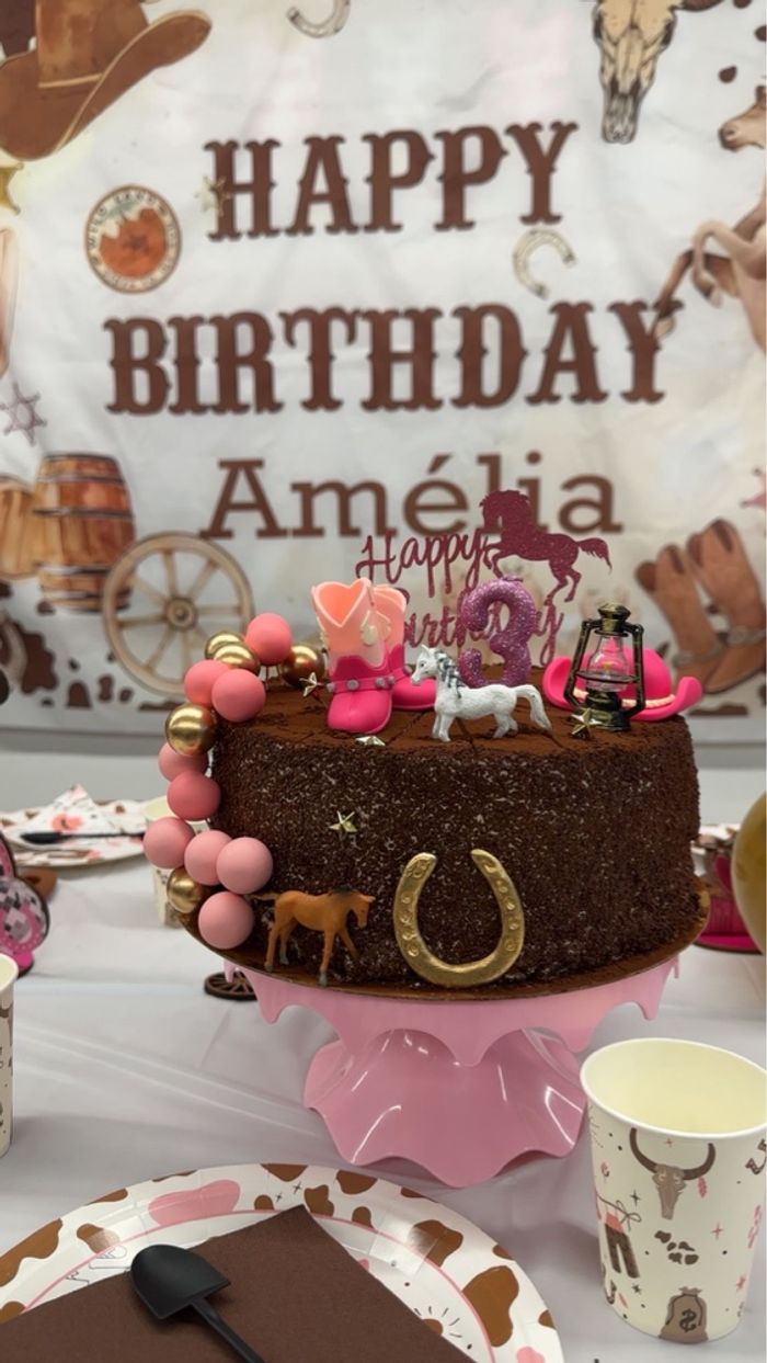 Décoration anniversaire cowgirl/cowboy – lot complet avec déco gâteau - photo numéro 3
