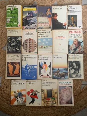 Lot 19 livres de poche