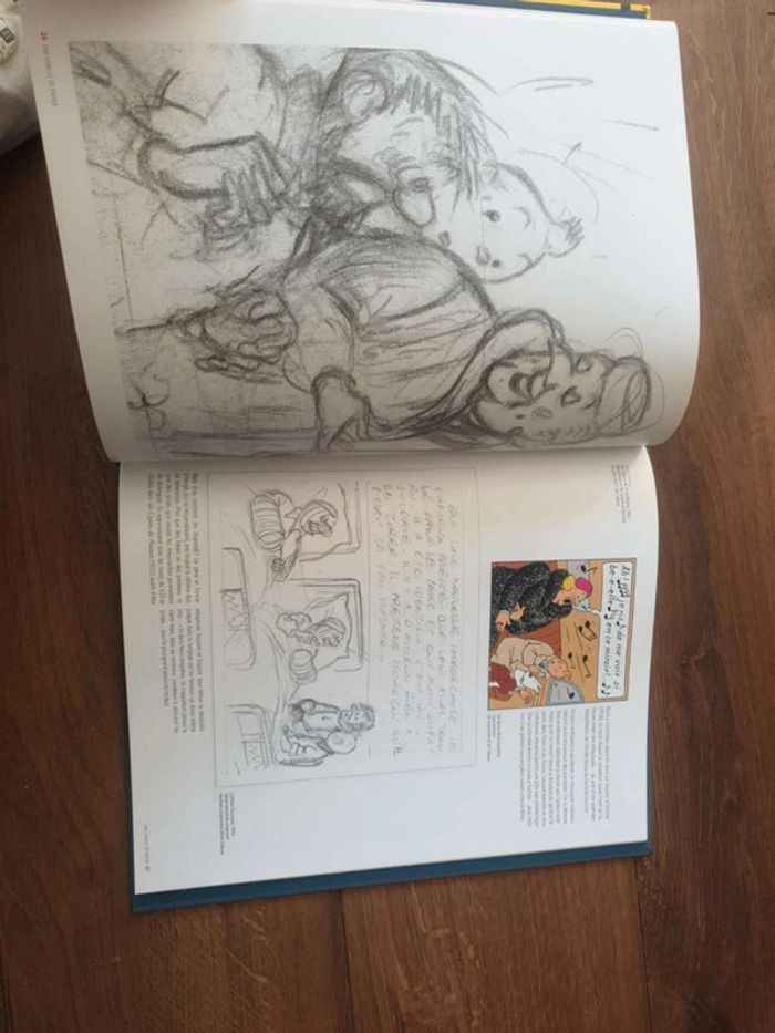 Livre  Hergé L'exposition de  papier  EO  2016 - photo numéro 6