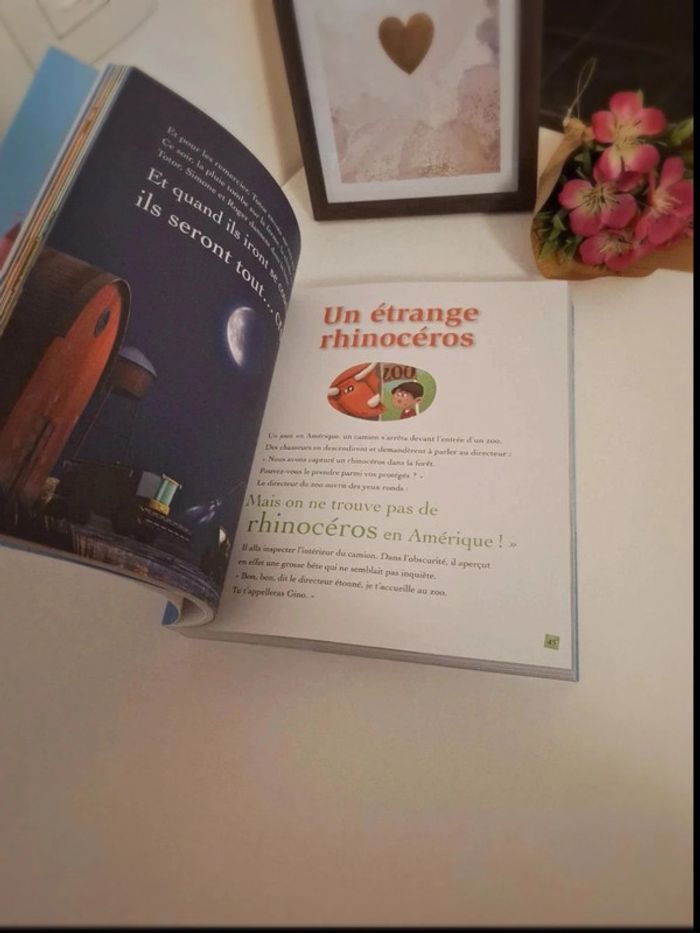 Gros livre les plus belles histoire du soir neuf - photo numéro 6