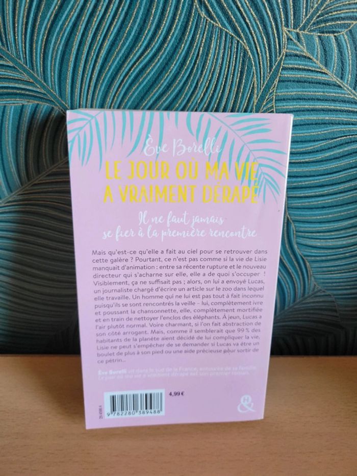 Livre roman "Le jour ou ma vie a vraiment dérapé" de Eve Borelli - photo numéro 4