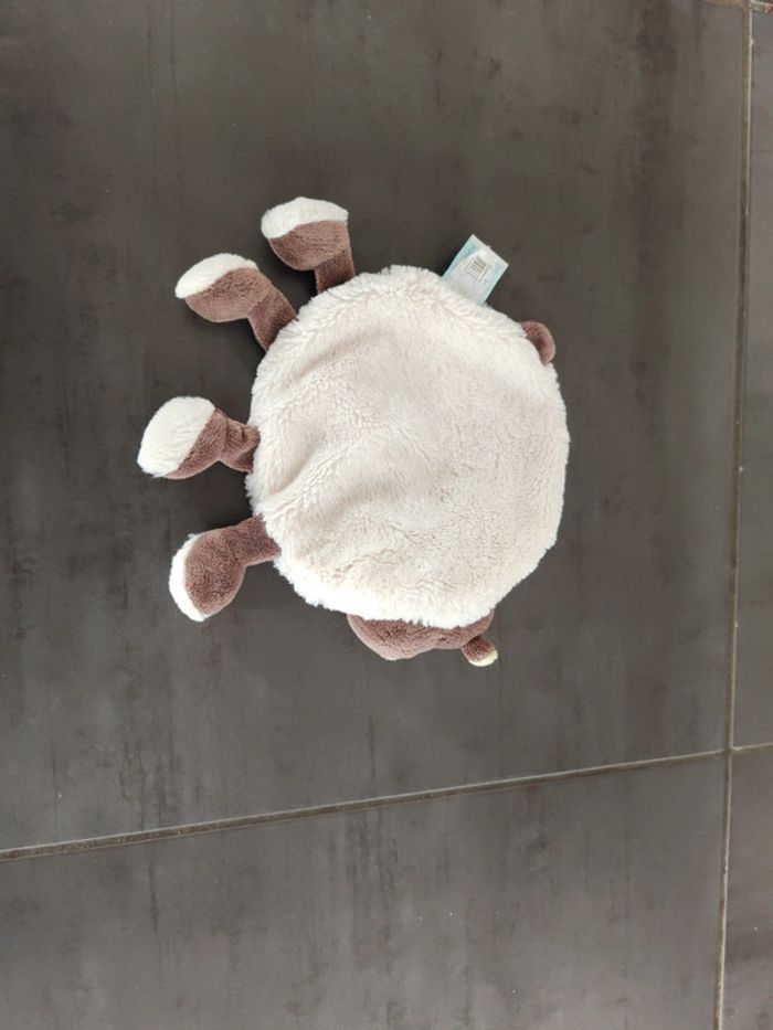 Hippo baby nat - photo numéro 2