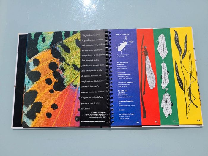 🦗 Mille Milliards d'insectes 🪳livre animé Gallimard Jeunesse (73) - photo numéro 15