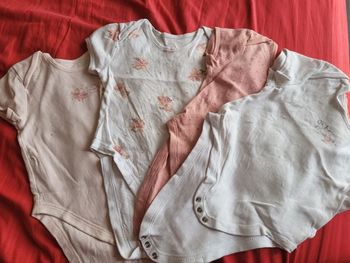 Lot 4 bodies manches courtes