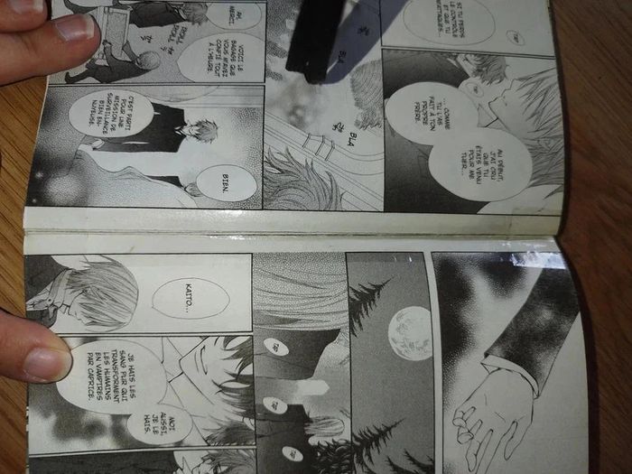 Lot mangas Vampire Knight - photo numéro 5