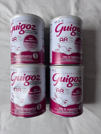 Guigoz Expert AR Mix 1 et âge 