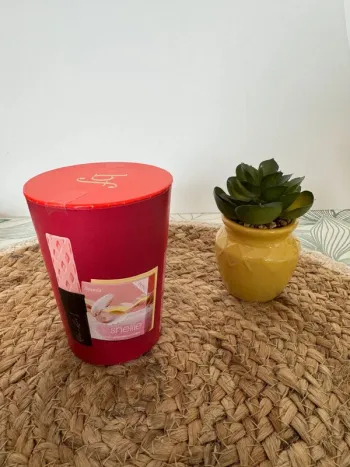 Coffret cadeau Piping Hot Beauty comprenant un mascara Roller Lash format voyage et un blush Shellie