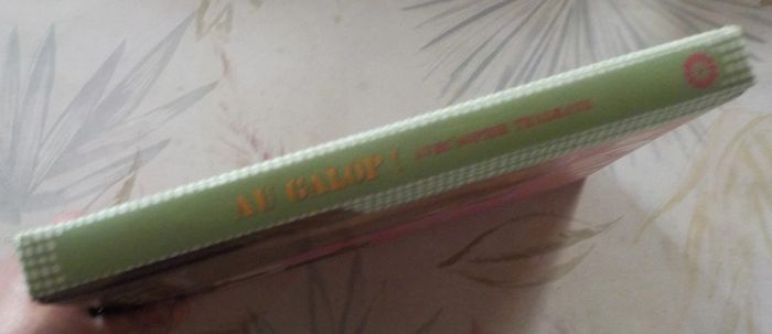 Au galop ! avec Sophie Thalmann Tout savoir sur le cheval - photo numéro 3