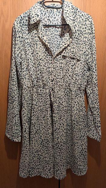 Robe chemise