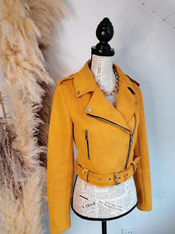 Perfecto taille 34 Cache Cache