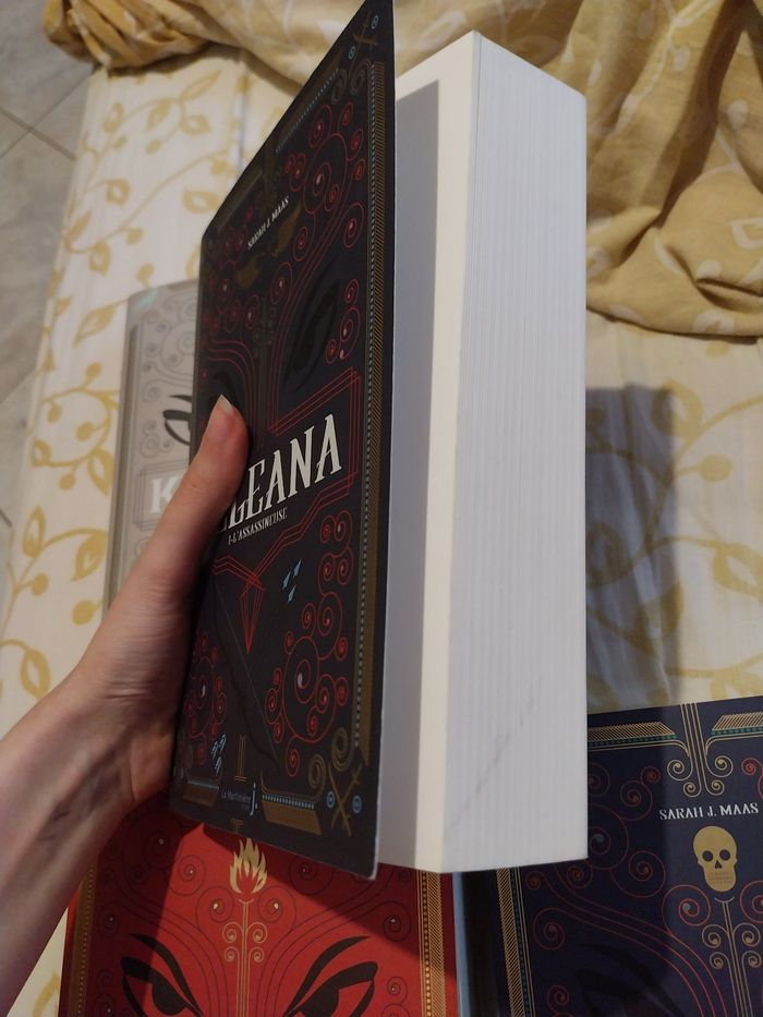 Romans Keleana tomes 1 + 3 + 4 Partie 1 La Reine des Ombres + Préquel 0.5- Sarah J. Maas La Martinière - photo numéro 2