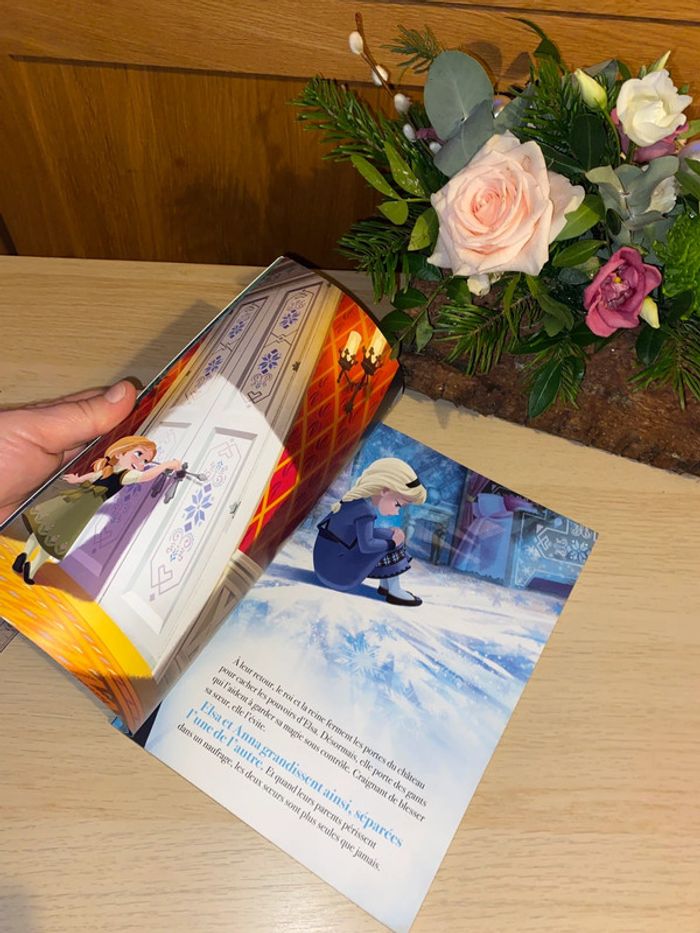 Livre album film Disney hachette 2020 princesse reine neiges elsa Anna - photo numéro 10