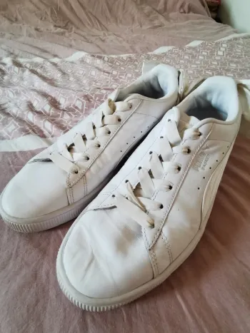 Basket Puma