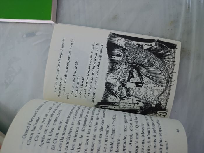 Lot de 7 livres pour enfant Fanny le ranch et les dragons de Nalsara - photo numéro 7