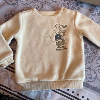 Pull Mickey polaire