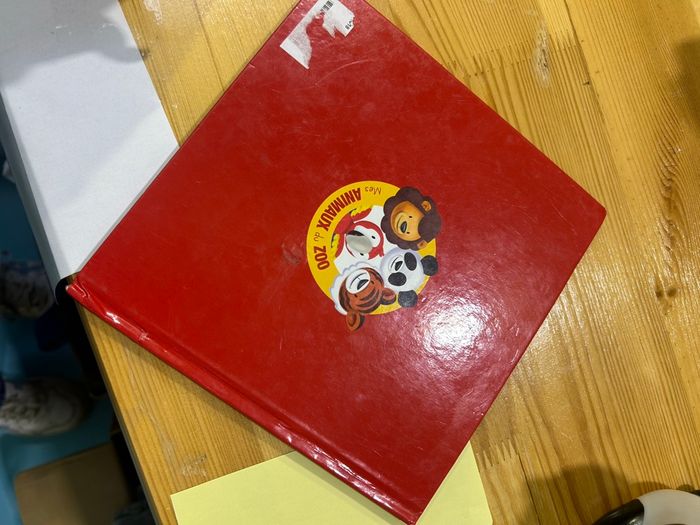 livre enfants Loumba le lion - photo numéro 2