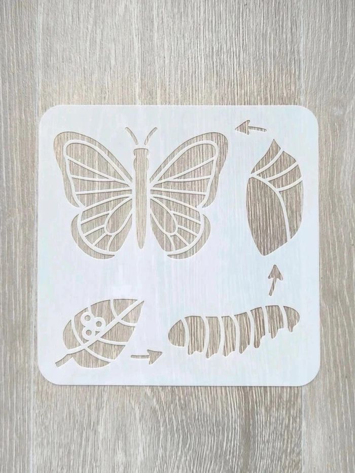 Pochoir du cycle de vie du papillon