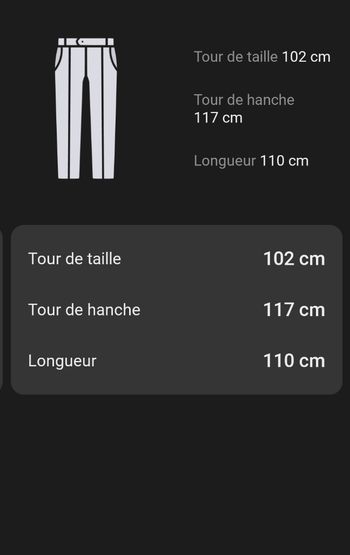 Pantalon cargo multipoche jamais porté