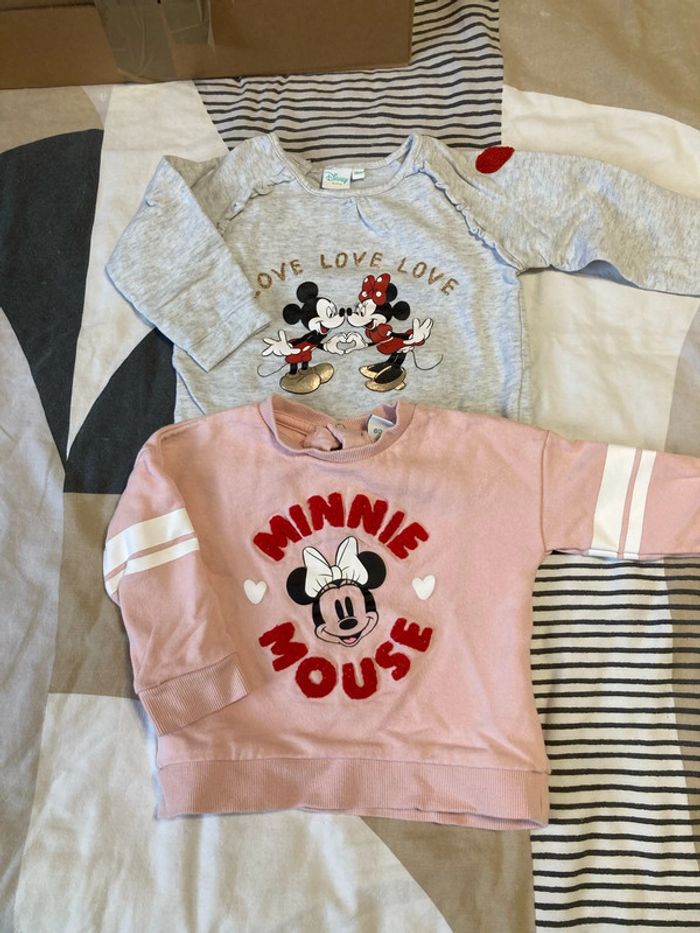 Lot de 2 sweat-shirt bébé fille