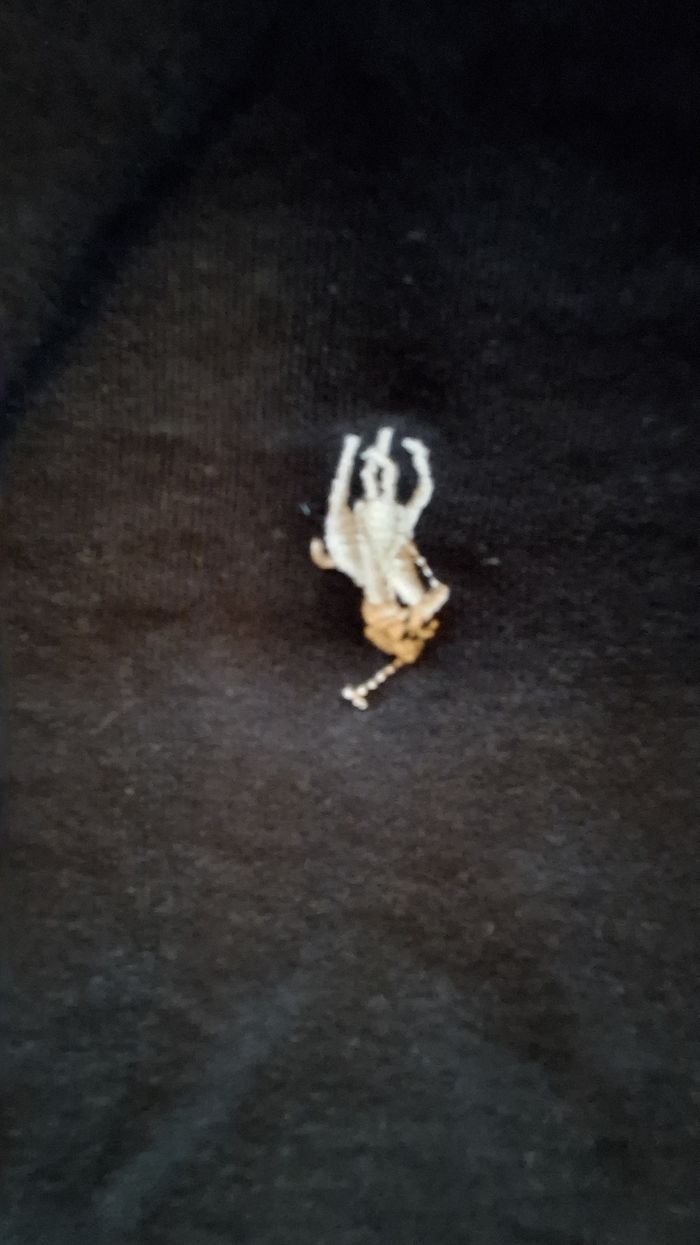 Pull Raphl Lauren noir taillr L - photo numéro 4