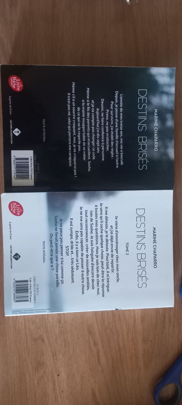 Lot de 2 livres : Destins brisés - photo numéro 2