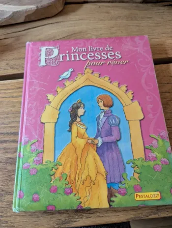 Mon livre de princesses pour rêver