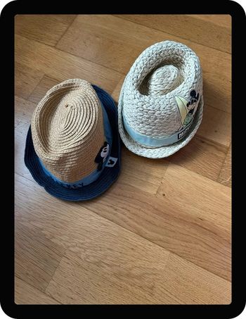 Lot Chapeau Disney