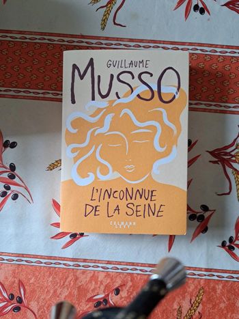 L'inconnue de la Seine de musso