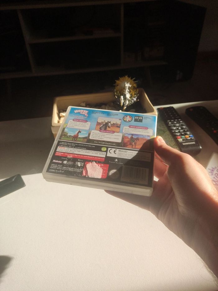 Lot Jeux Nintendo ds pour fille horse life 2 cheval sweet 16 - photo numéro 6