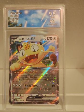 Miaouss gradée 9.5. Collect Aura