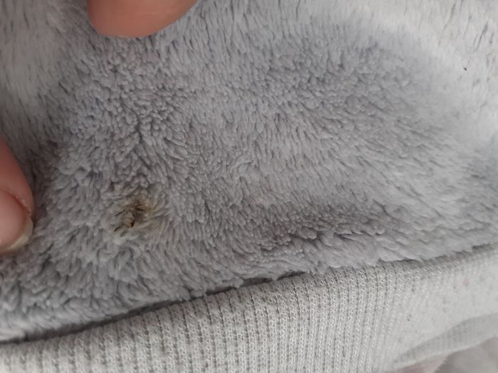 Pull - photo numéro 2