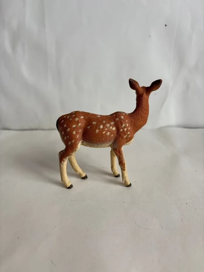 Biche papo - photo numéro 2