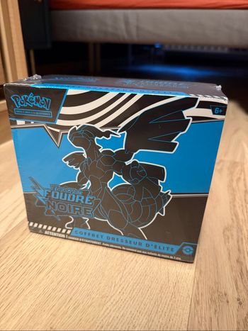 ETB EV 10.5 Foudre noire