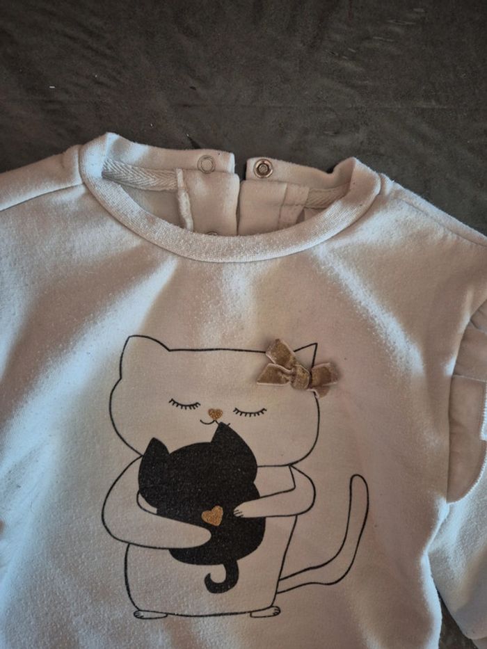 Pull chat - photo numéro 2