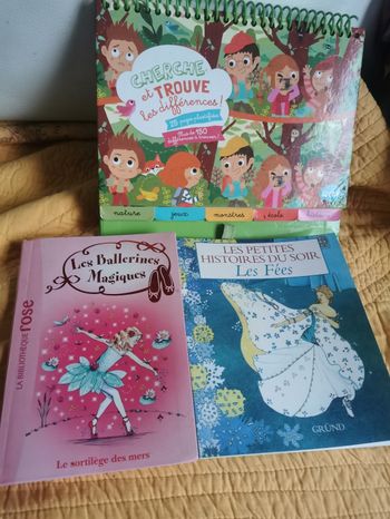 Lot de 3 livres et jeux fille