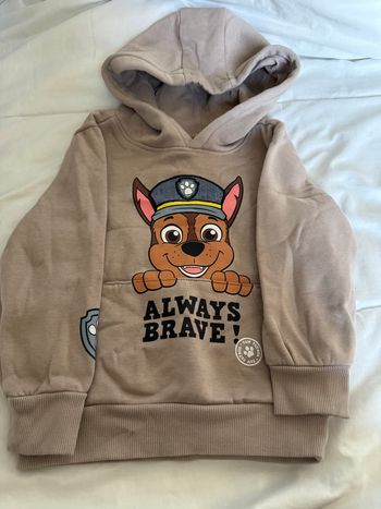 Pull paw patrol 