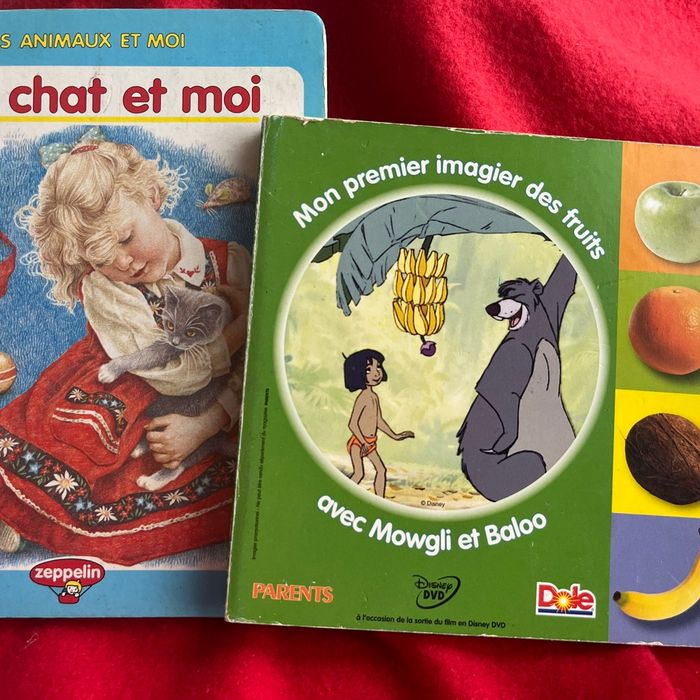 Lot  8 livres d’enfants - photo numéro 6