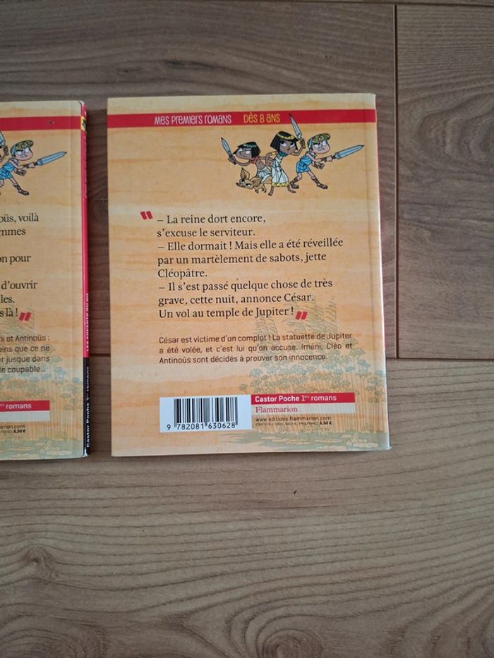 Livres - photo numéro 5