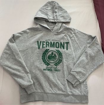 Sweat à capuche gris