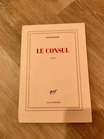 Le consul, Salim Bachi